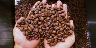 Nghệ thuật phơi, sấy hạt cà phê | Men’s Coffee